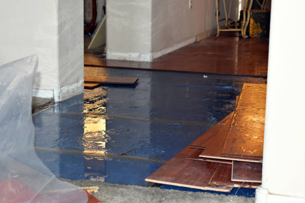 Professional Basement Flood Cleanup technician working in Mansfield, AR